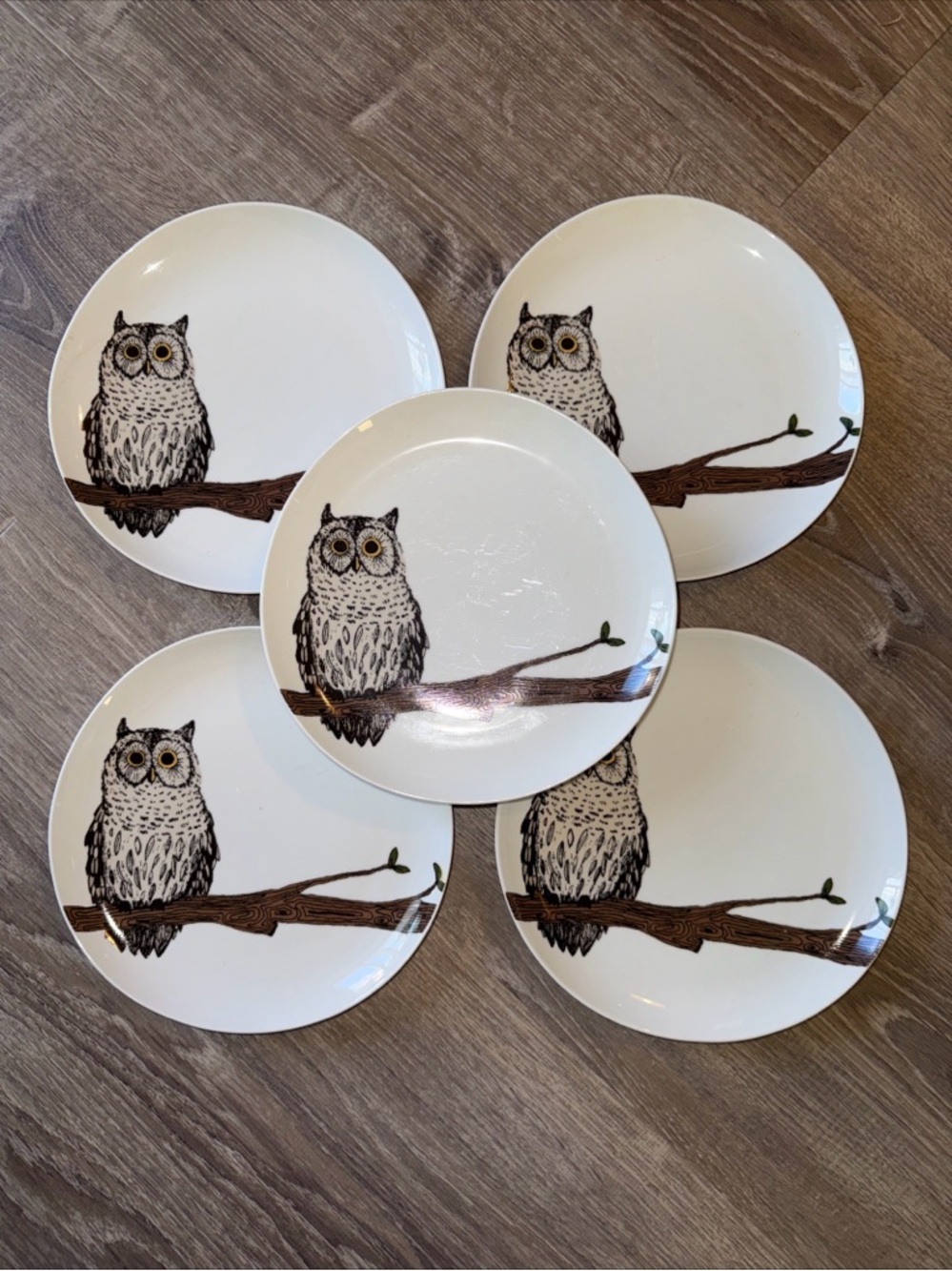 Set of 5 West Elm 8 5/8" Organic Owl Plates by Rachel Kozolowski Retired